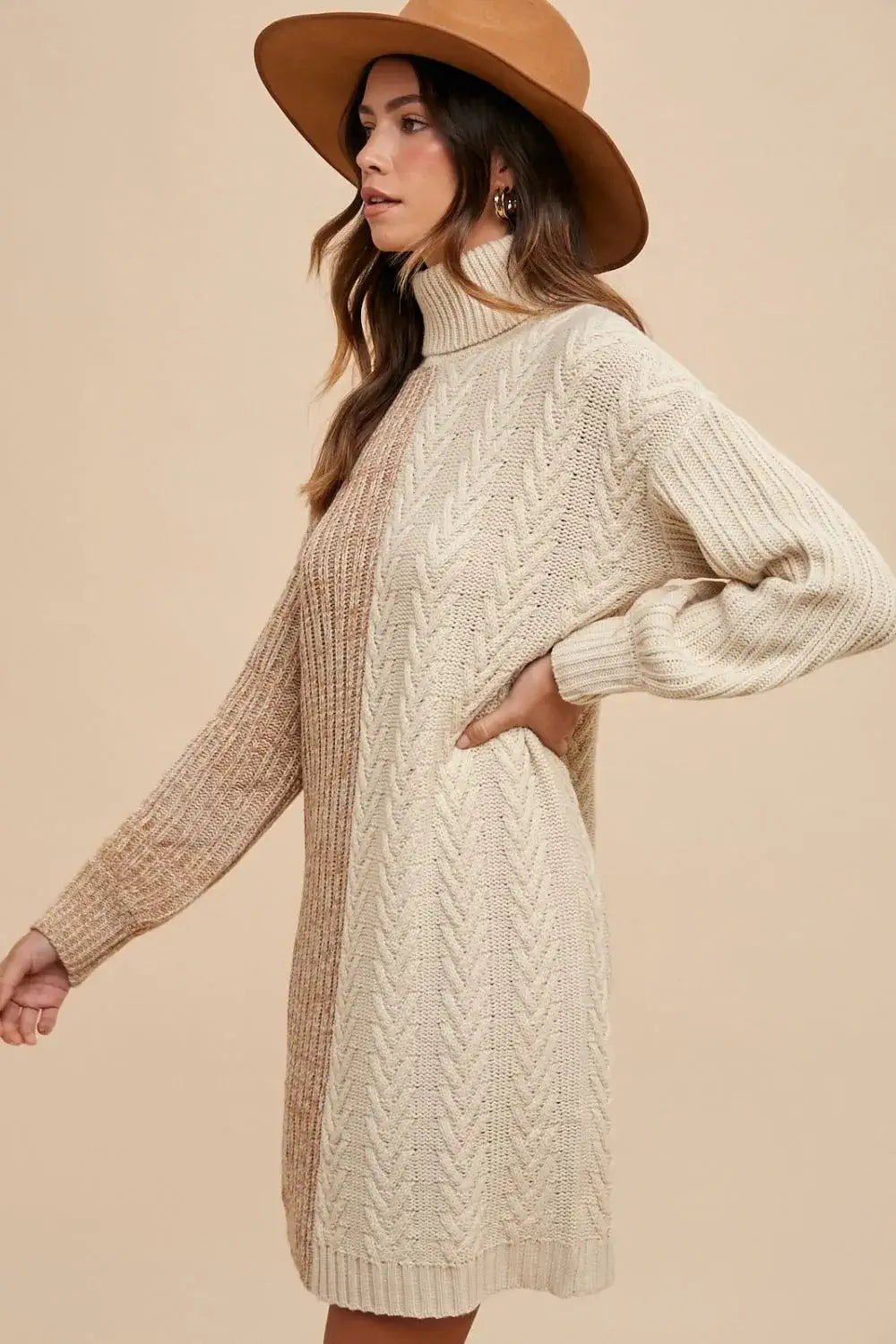 long sleeve turtle neck sweater dress